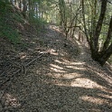 DSC03402
