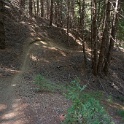DSC03419