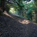 DSC03421