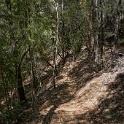 DSC03425
