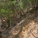 DSC03427