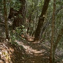 DSC03429