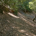 DSC03431