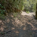 DSC03433
