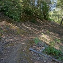 DSC03437