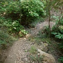DSC03438