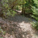 DSC03440