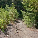 DSC03442