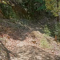 DSC03444