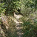 DSC03446