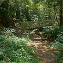 DSC03450
