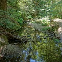 DSC03456