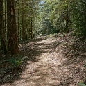 DSC03458