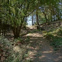 DSC03460