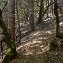 DSC03462