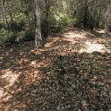 DSC03467