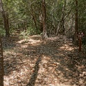 DSC03470