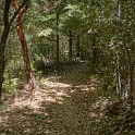 DSC03472
