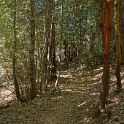 DSC03476