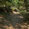 DSC03480