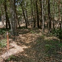 DSC03482
