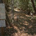 DSC03484