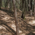 DSC03491