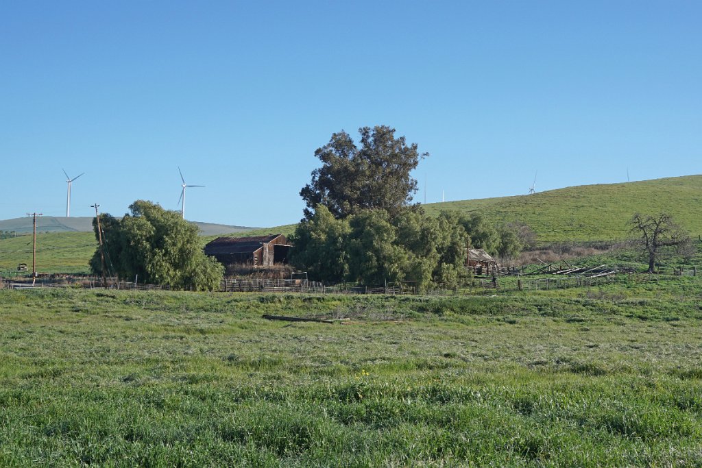 DSC00991