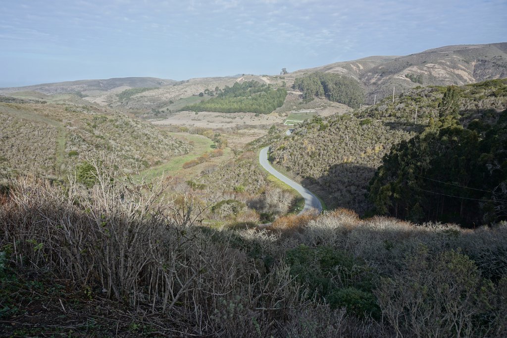 DSC04611