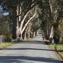 DSC04604