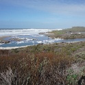 DSC04654