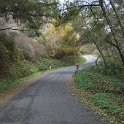DSC04713