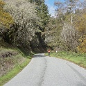 DSC04714