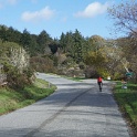 DSC04715