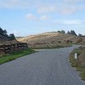 DSC04718
