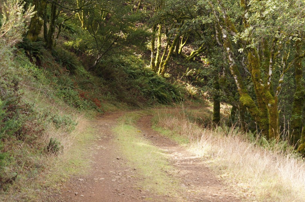 DSC00535