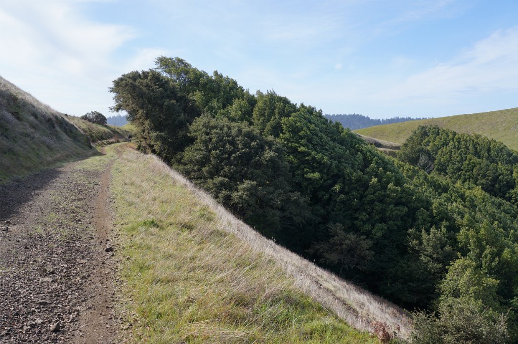 DSC00536