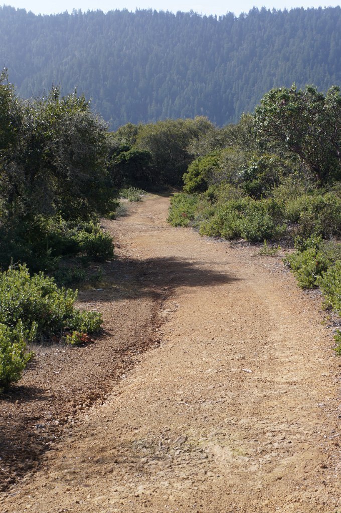 DSC00545