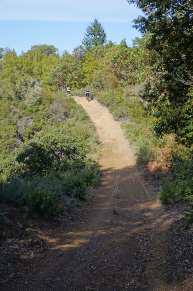 DSC00549