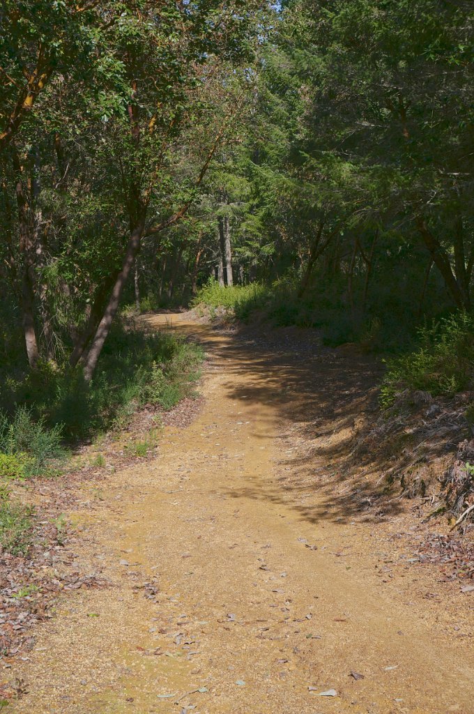 DSC00552