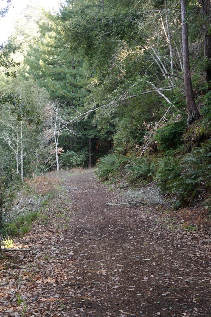 DSC00568
