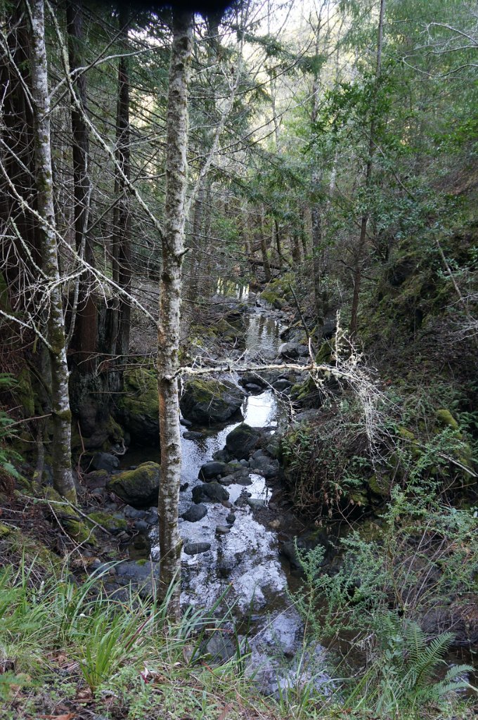 DSC00573