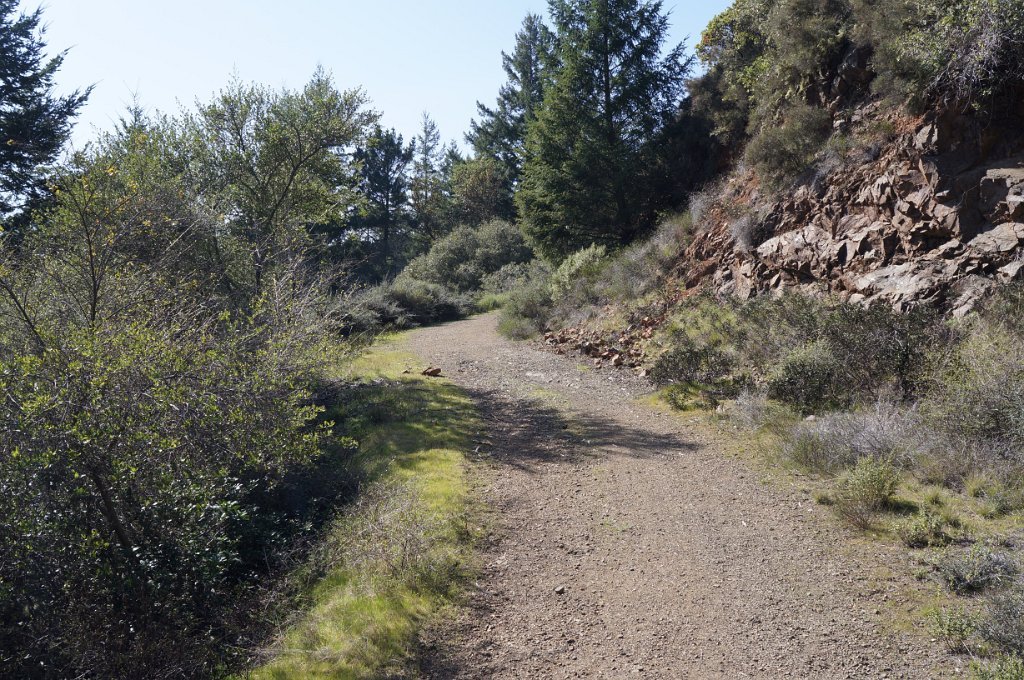 DSC00584