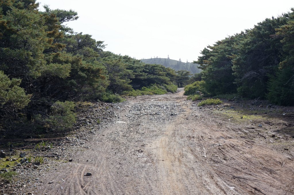 DSC00614