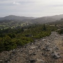 DSC00500