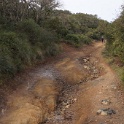 DSC00501