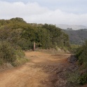 DSC00503
