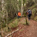 DSC00506
