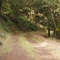DSC00535