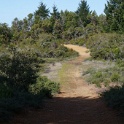 DSC00547
